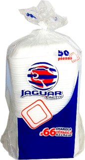 CHAROLA JAGUAR TER NO. 66 C/50