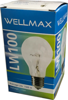 [3030227] FOCOS  100W