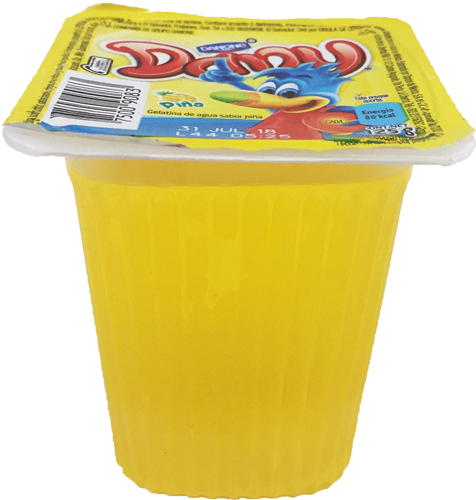 [0905056] DANONE DANY 125GR PINA
