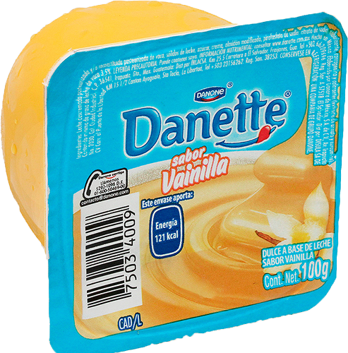 [3022849] DANONE DANETTE NATILLA 100GR